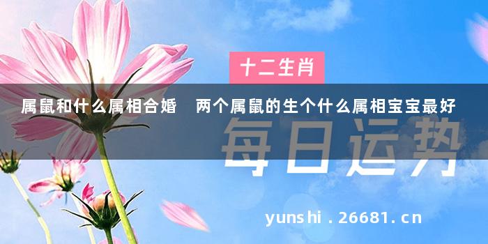 属鼠和什么属相合婚 两个属鼠的生个什么属相宝宝最好